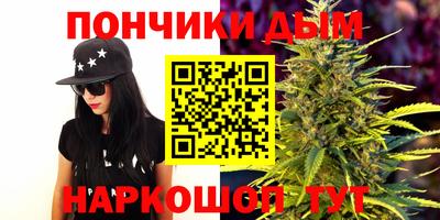 дживик Можга