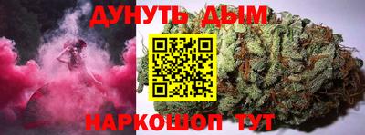 дживик Можга