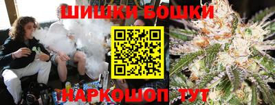 дживик Можга